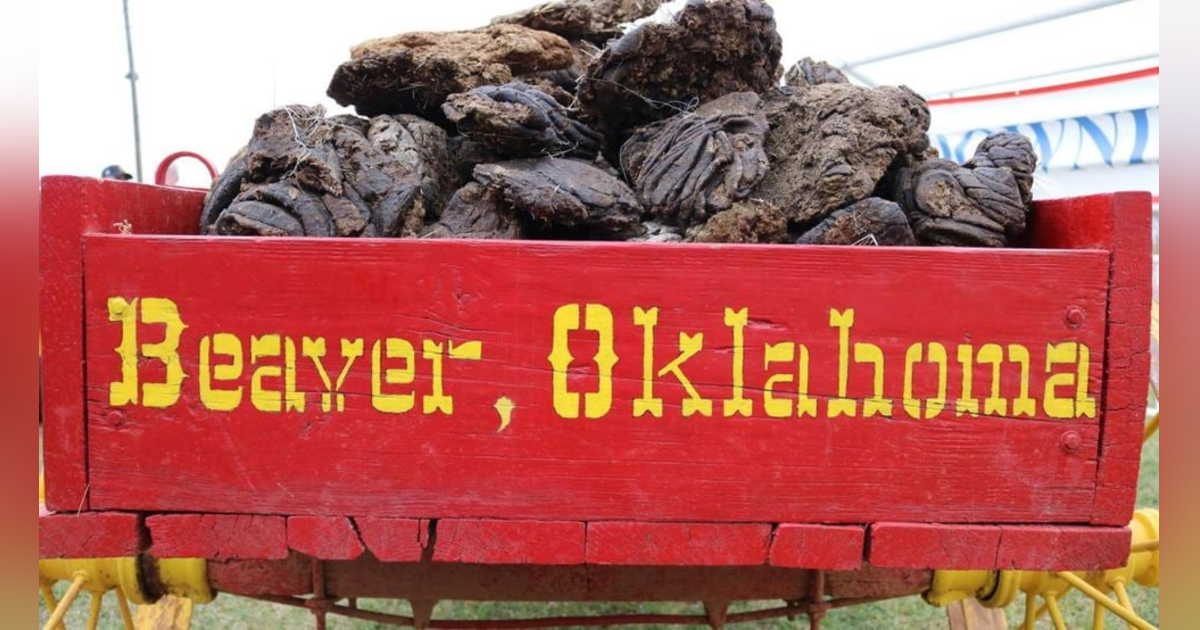 Cow Chip Throwing Capital - Beaver, Oklahoma Cow Chip Throwing Capital - Beaver, Oklahoma