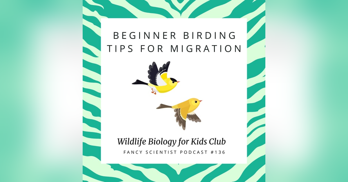 Beginner Birding Tips for Migration | Wildlife Biology for Kids Club Beginner Birding Tips for Migration | Wildlife Biology for Kids Club
