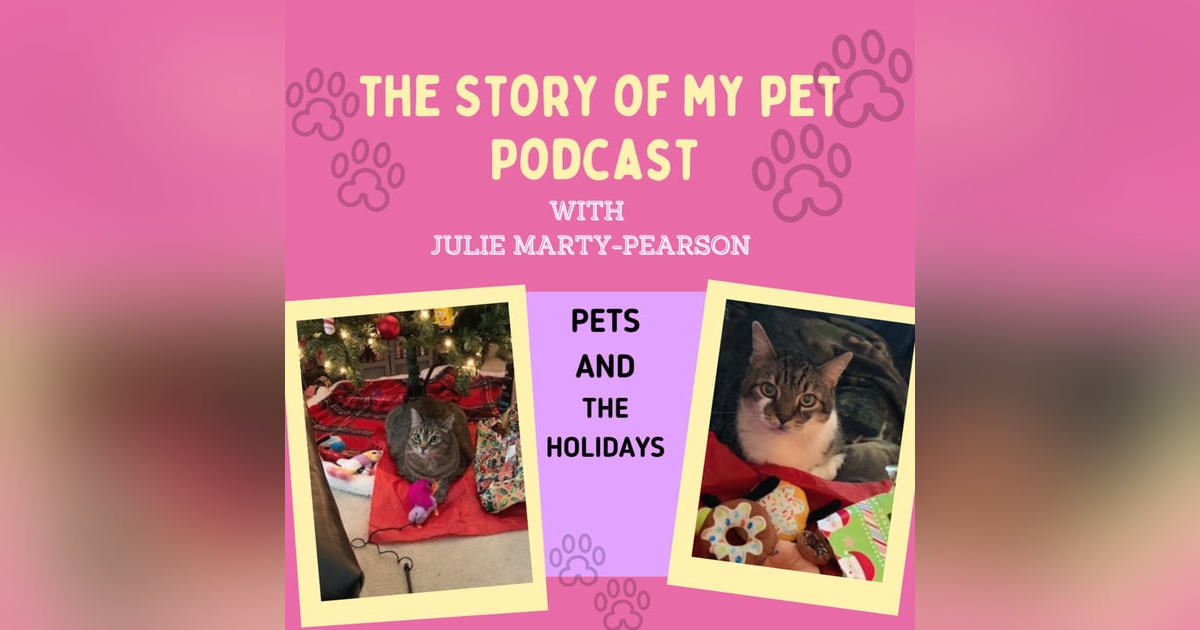 Pets and the Holidays Pets and the Holidays