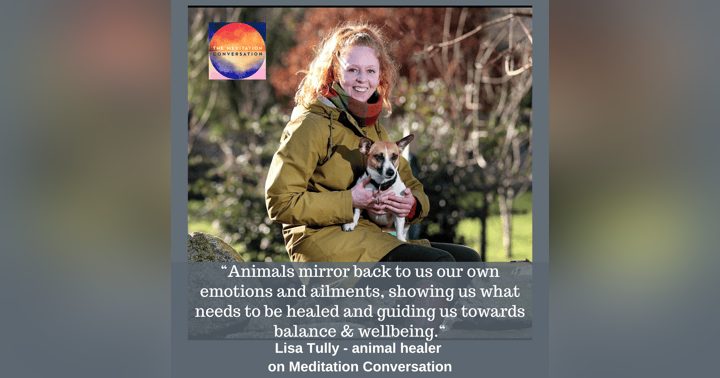 image for Animal Wisdom & Nature's Pharmacy - Lisa Tully