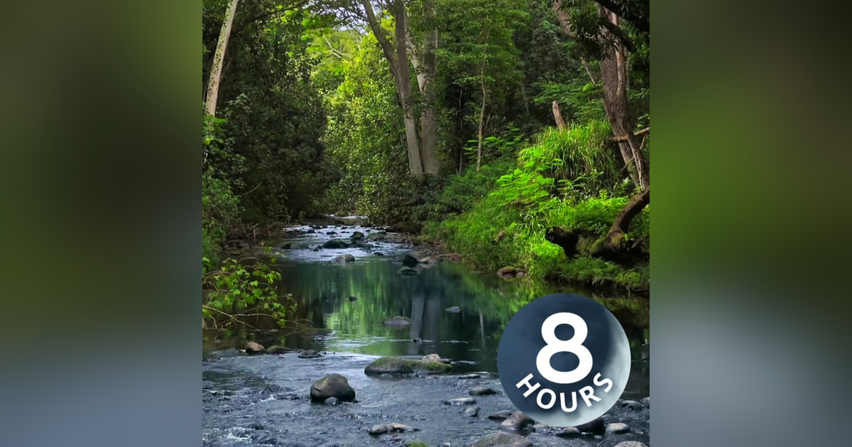 Forest River Ambience | Water Sounds 8-Hours | Sleep or Study Forest River Ambience | Water Sounds 8-Hours | Sleep or Study