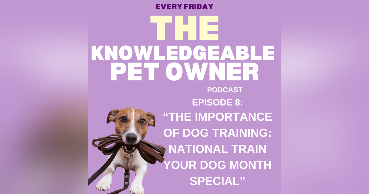 The Importance of Dog Training: National Train Your Dog Month Special The Importance of Dog Training: National Train Your Dog Month Special