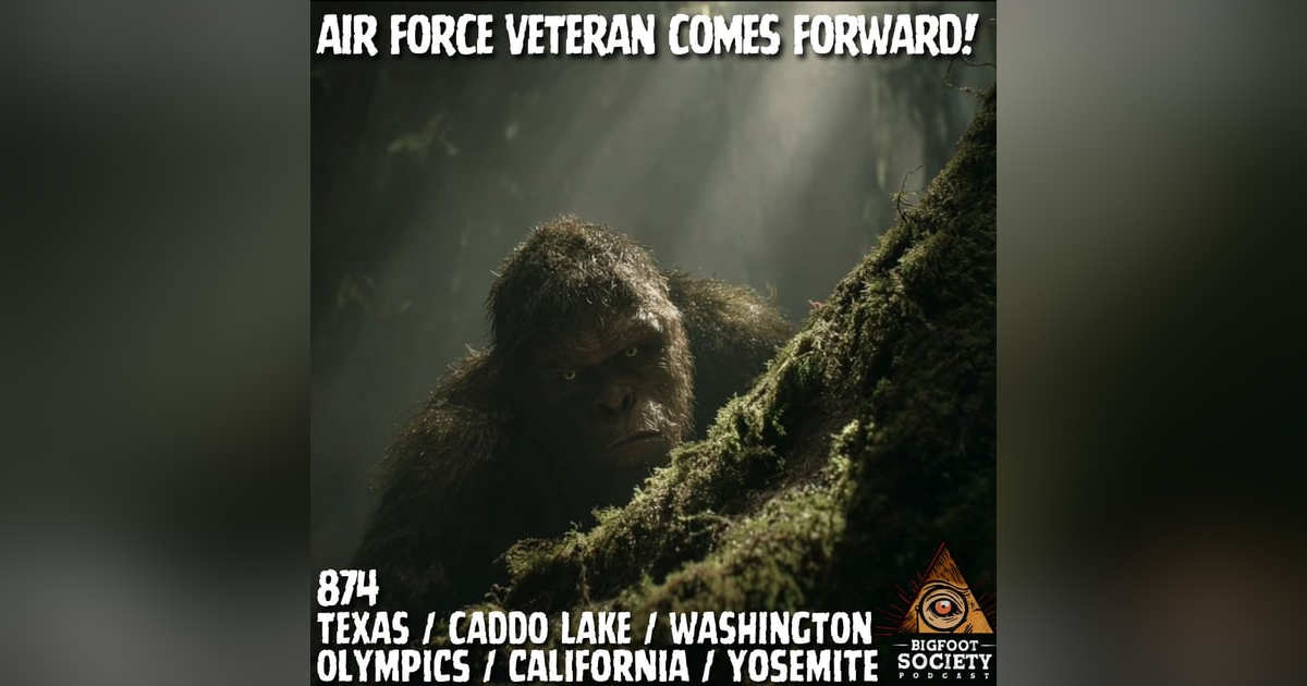 Lichen Fell From Its Face | Washington Lichen Fell From Its Face | Washington