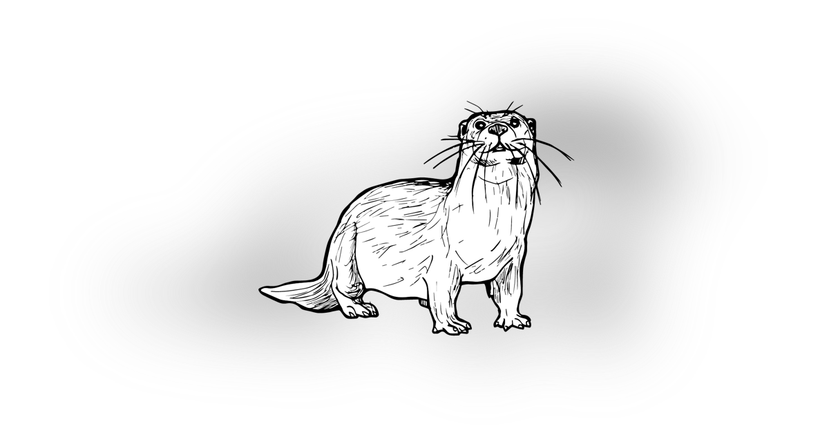 The Otter The Otter