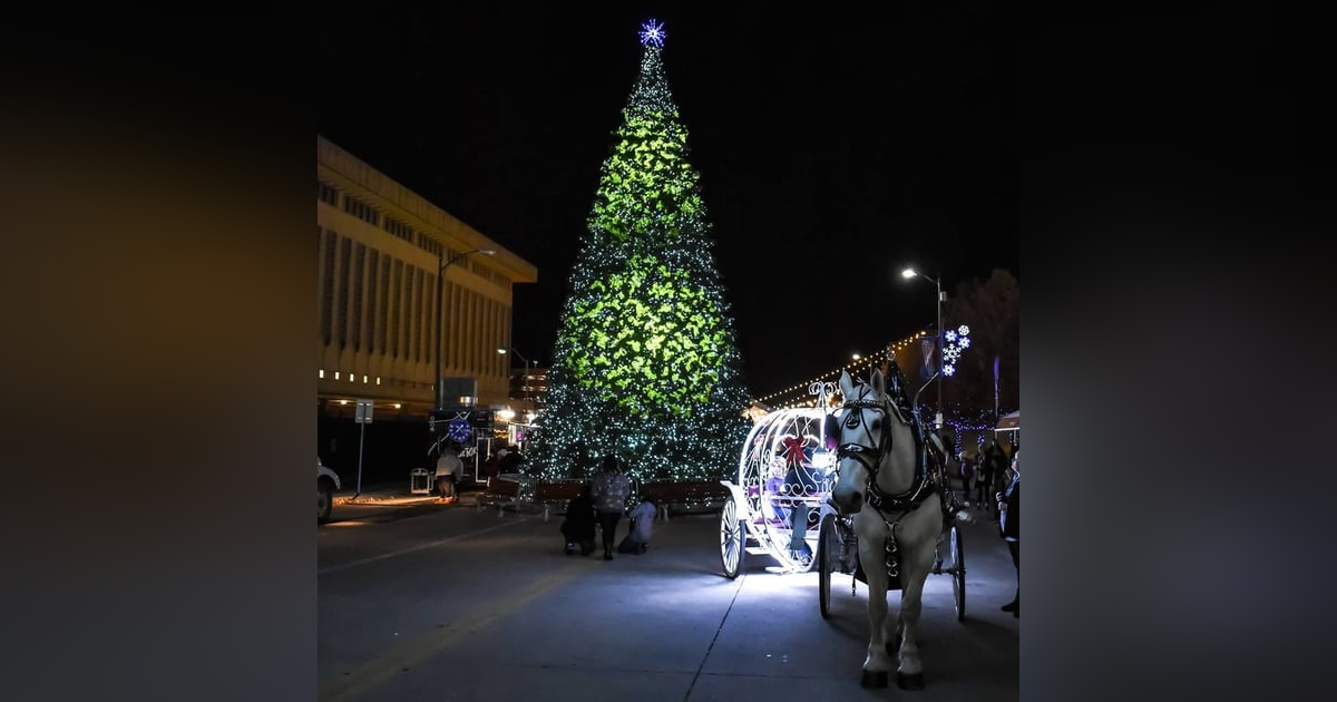 You don’t need snow to have a winter wonderland! You don’t need snow to have a winter wonderland!
