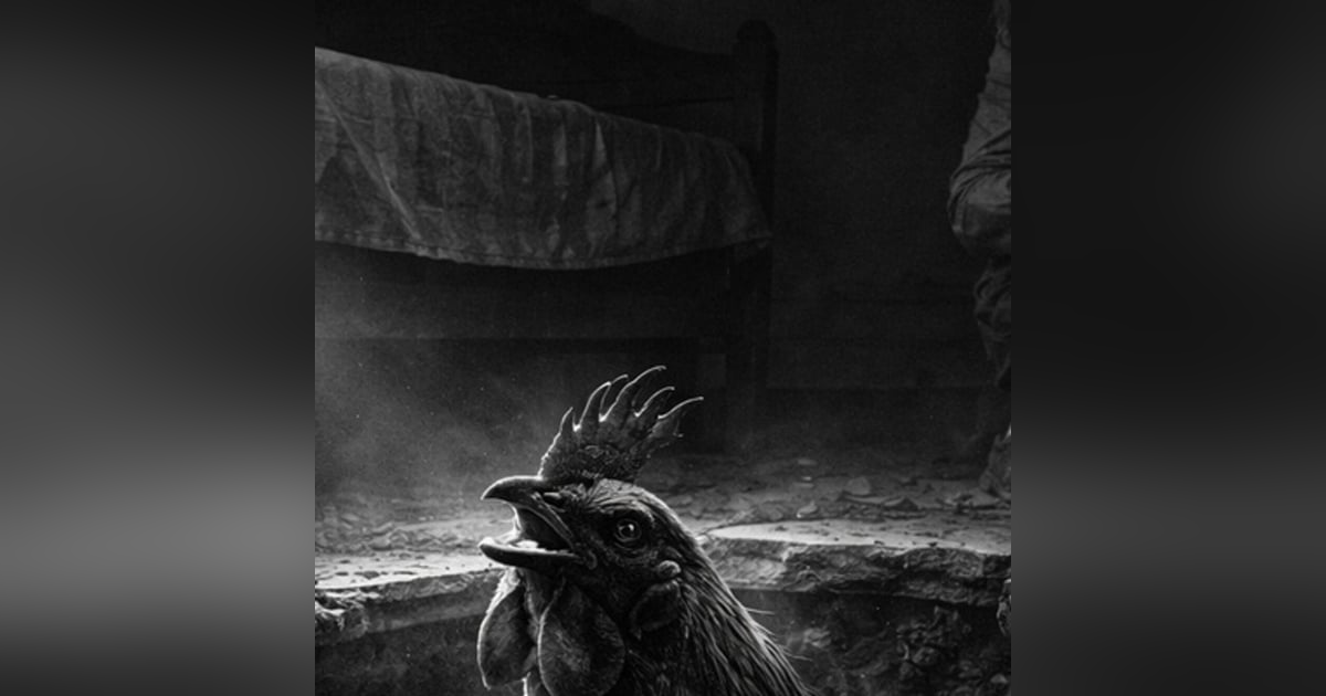 El Gallo Que Cantaba Bajo La Casa Historias De Terror - REDE El Gallo Que Cantaba Bajo La Casa Historias De Terror - REDE