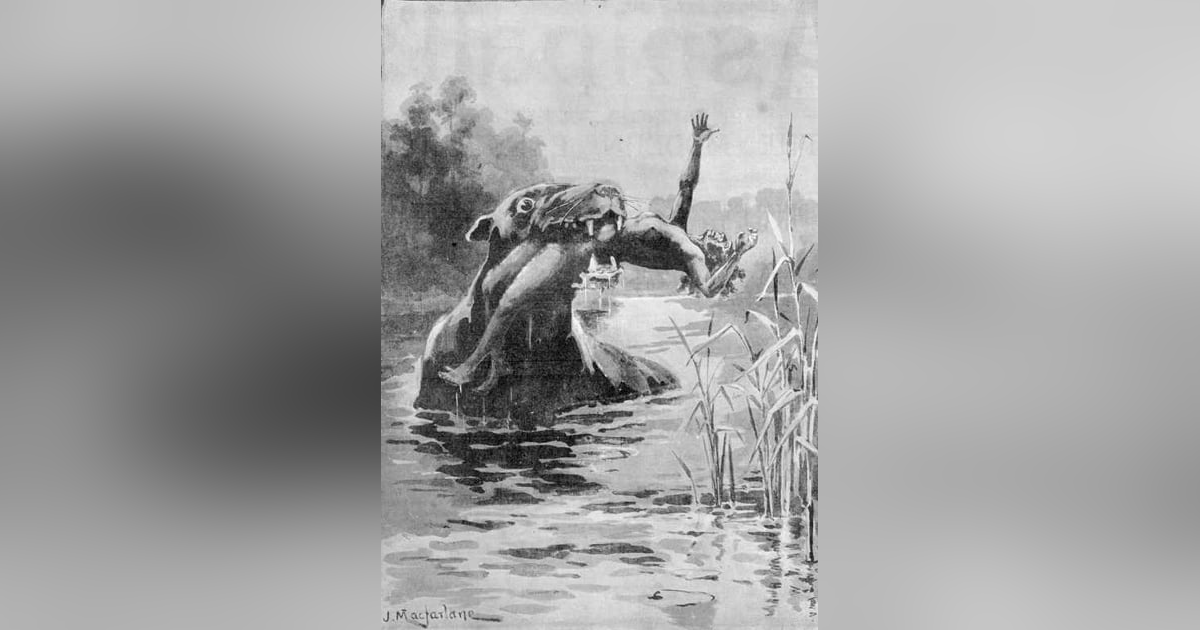 Cryptids Cryptids
