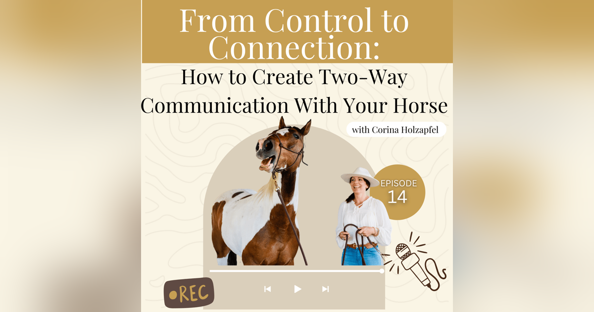 From Control to Connection: How to Create Two-Way Communication With Your Horse From Control to Connection: How to Create Two-Way Communication With Your Horse