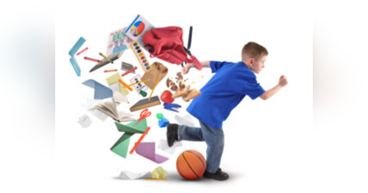 image for The Executive Function Connection