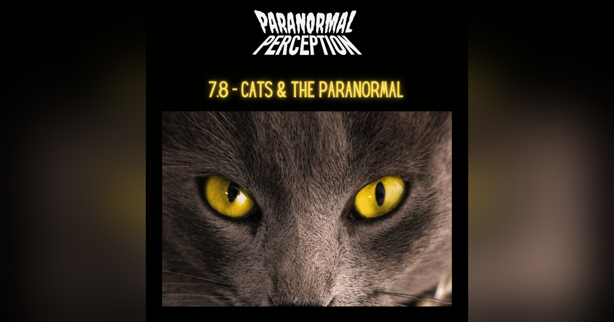 7.8 - Cats & The Paranormal 7.8 - Cats & The Paranormal