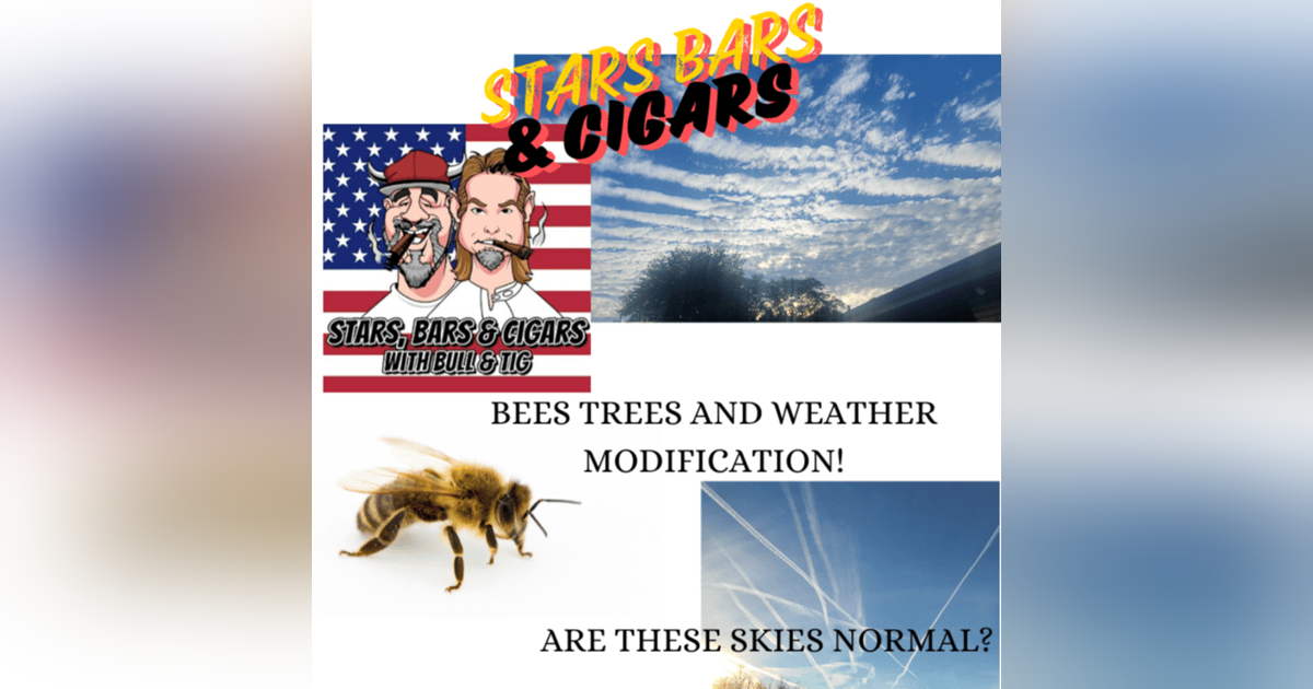 STARS BARS & CIGARS, #49 STARS BARS & CIGARS, #49