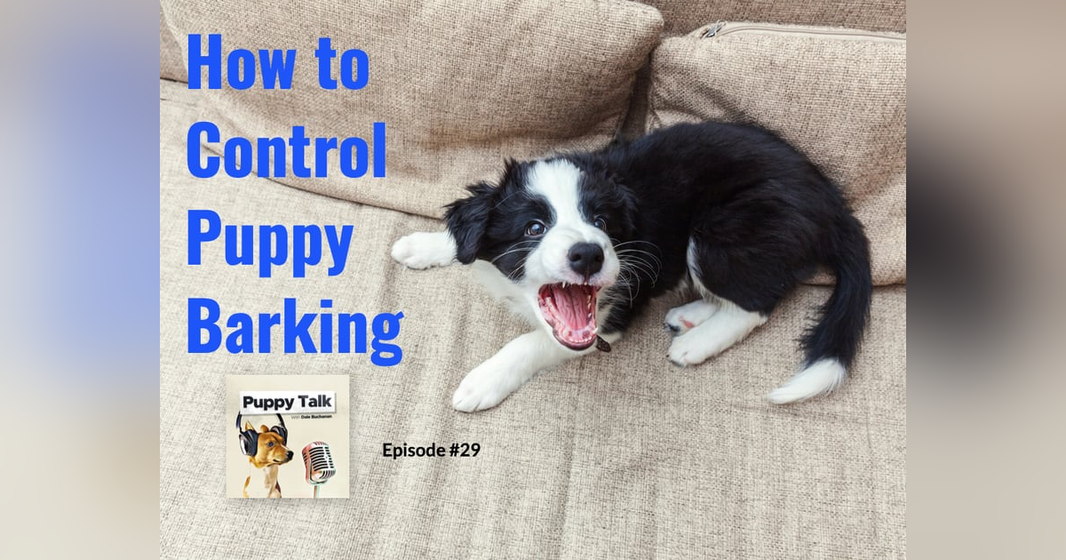 How to Control Puppy Barking How to Control Puppy Barking