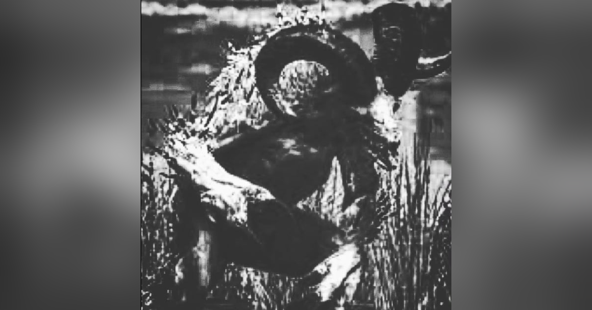 Goat Men of Texas Goat Men of Texas