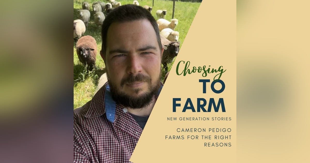 Cameron Pedigo Farms for the Right Reasons Cameron Pedigo Farms for the Right Reasons