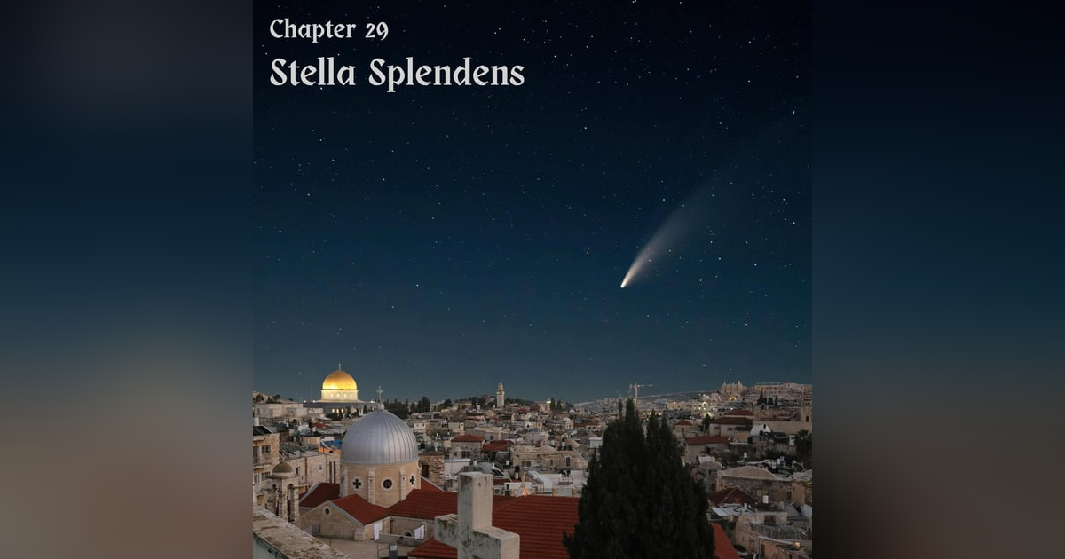 Chapter 29: Stella Splendens Chapter 29: Stella Splendens