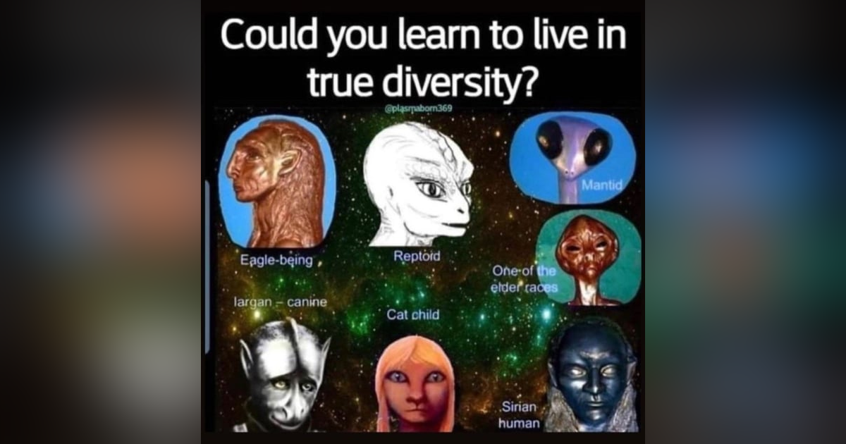 Exopolitics, Solar Warden, and Reality: interviewed by Richard Syrett Exopolitics, Solar Warden, and Reality: interviewed by Richard Syrett