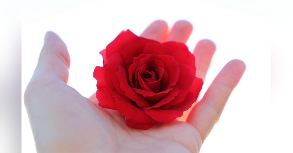 Raising Awareness of Physician Suicide Raising Awareness of Physician Suicide