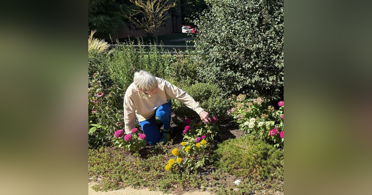 How to be a ‘super ager’ How to be a ‘super ager’