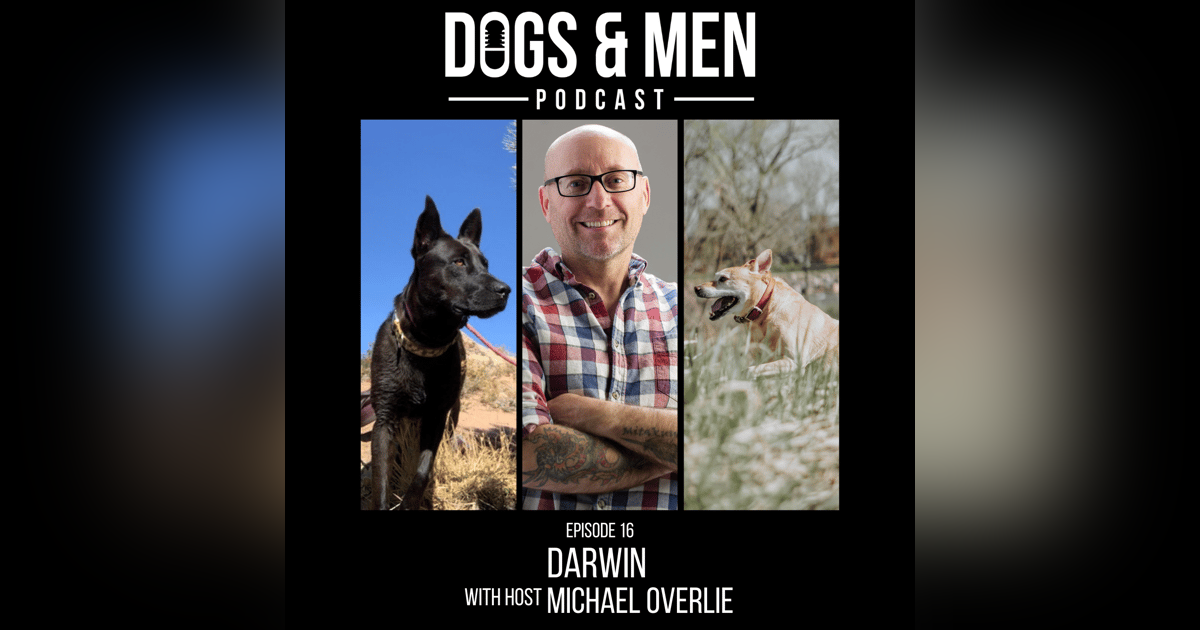 Darwin Darwin