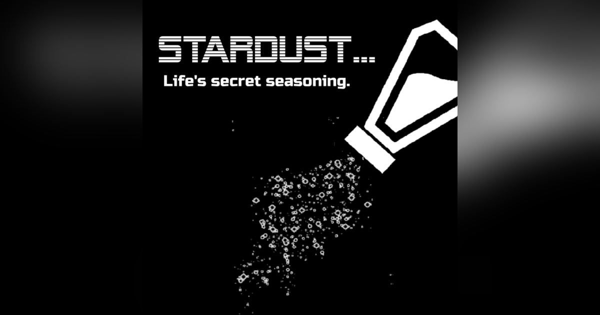 Stardust-Life's Secret Seasoning Stardust-Life's Secret Seasoning