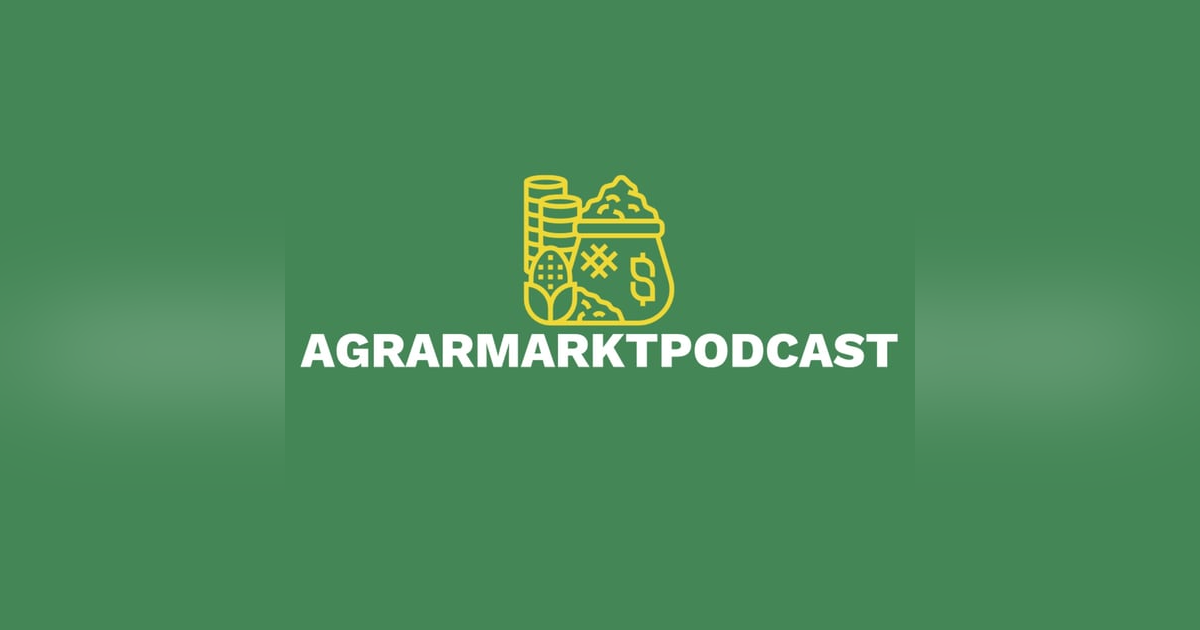 Energiepreise, Jackson Hole und der ukrainische Getreide-Exportkorridor Energiepreise, Jackson Hole und der ukrainische Getreide-Exportkorridor