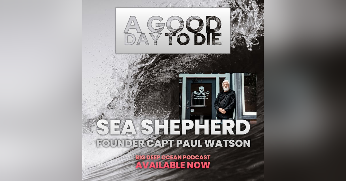 A Good Day To Die: Sea Shepherd Founder Captain Paul Watson On The Compassion Behind Confrontation A Good Day To Die: Sea Shepherd Founder Captain Paul Watson On The Compassion Behind Confrontation