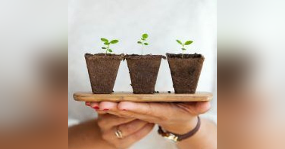 대규모 시드 투자 받은 스타트업 이것이 다르다 대규모 시드 투자 받은 스타트업 이것이 다르다