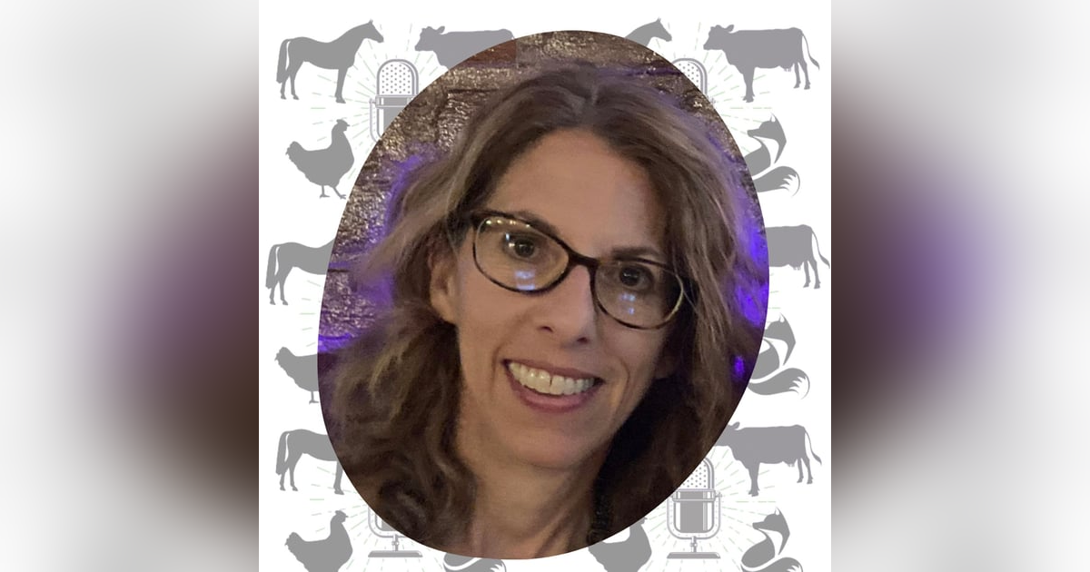 Animal Artivism with Lisa Goldberg Animal Artivism with Lisa Goldberg