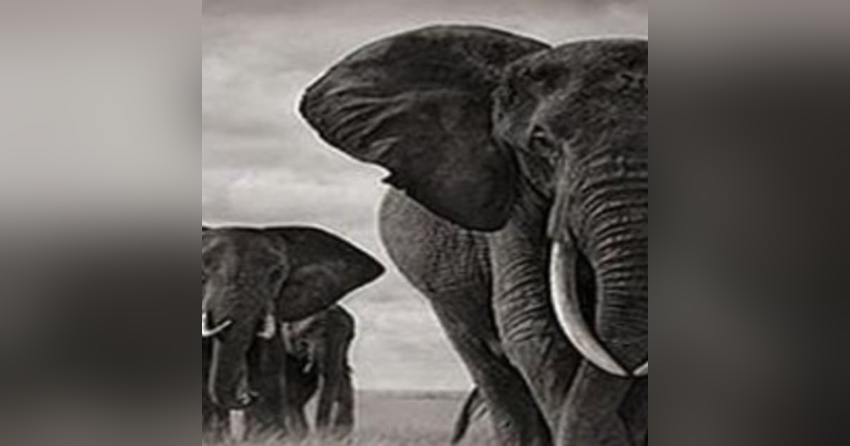 LEAD, FOLLOW or GET OUT OF THE WAY LEAD, FOLLOW or GET OUT OF THE WAY