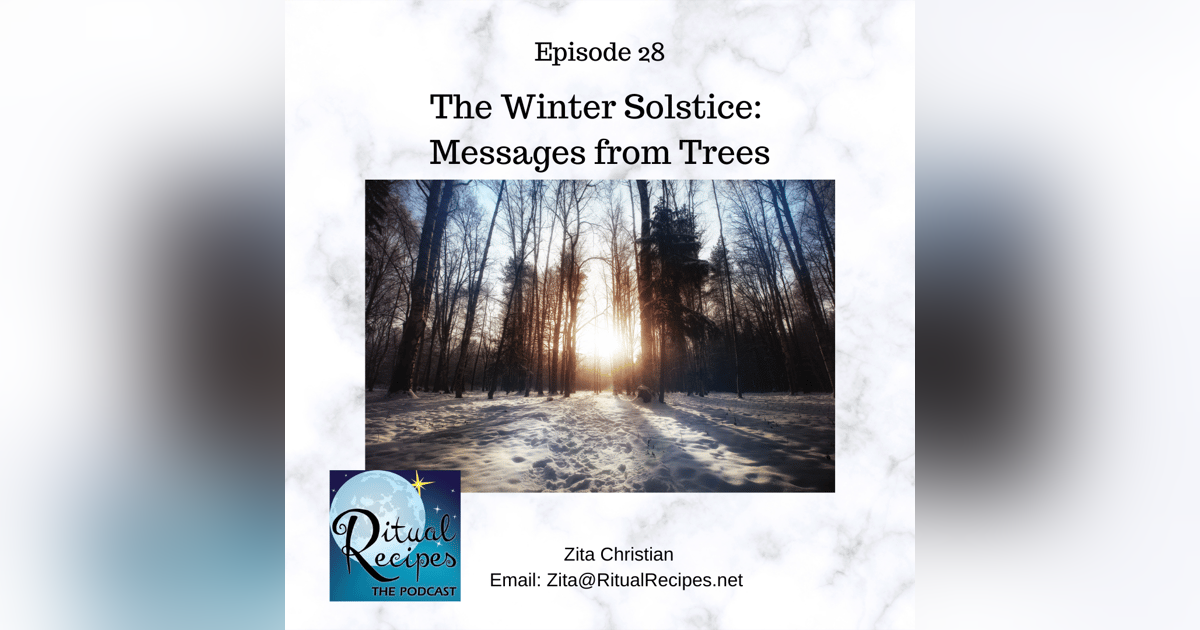 Winter Solstice Messages from the Trees Winter Solstice Messages from the Trees