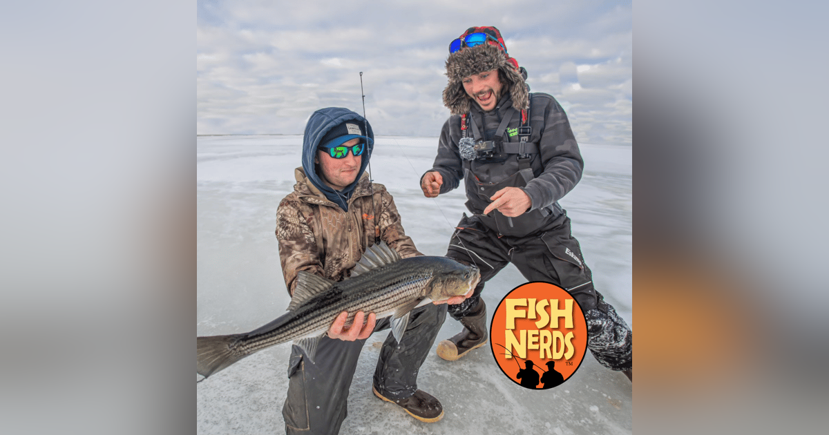 Ice Fishing for Striped Bass with Fishing Grubbz Ice Fishing for Striped Bass with Fishing Grubbz