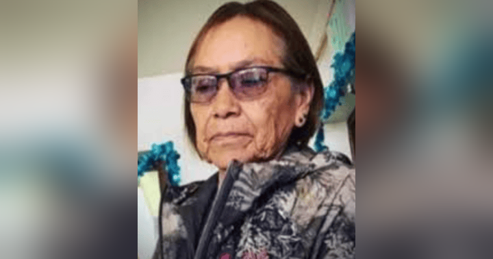 image for CASE UPDATE: Re: Ella Mae Begay's Disappearance in Arizona (2021)