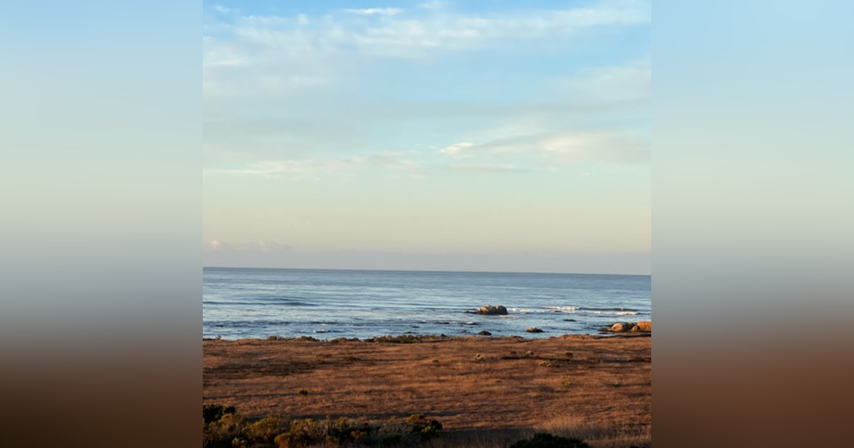 On The Fly On The Fly