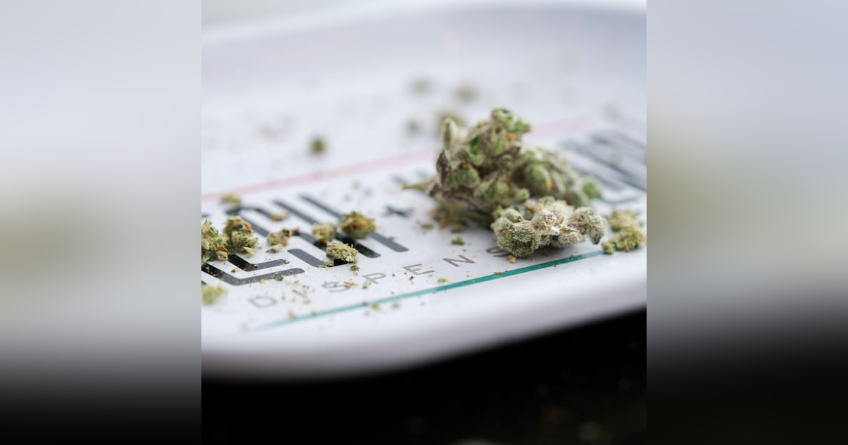 Wait, is weed legal now? Wait, is weed legal now?