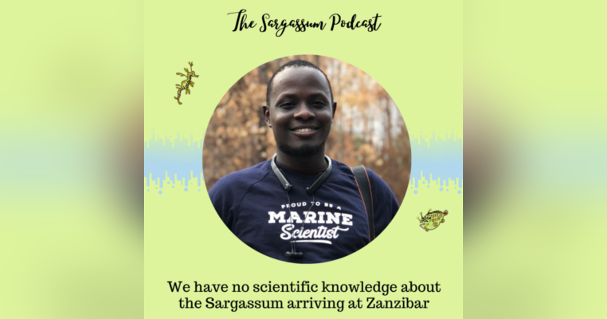 Ep.22: Understudied Sargassum landings in Tanzania with Jerry Mang’ena Ep.22: Understudied Sargassum landings in Tanzania with Jerry Mang’ena