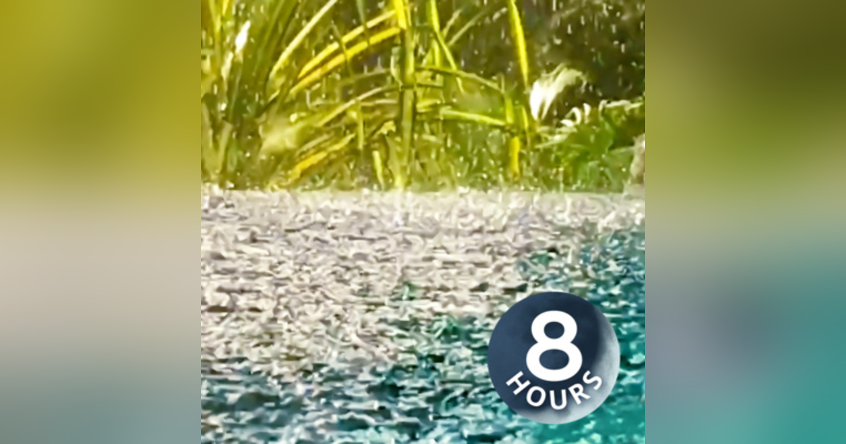 Thunder Sounds with Rain on Pond 8 Hours | Sleep, Study or Focus with Rainstorm White Noise Thunder Sounds with Rain on Pond 8 Hours | Sleep, Study or Focus with Rainstorm White Noise