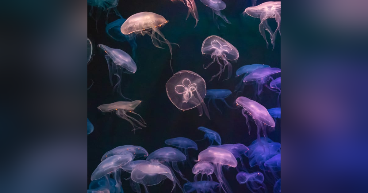 How Life Began (and it wasn't an accident) How Life Began (and it wasn't an accident)