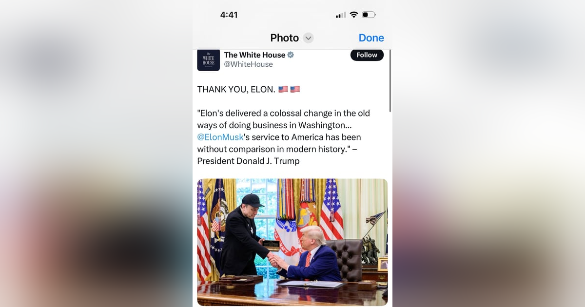 David Faris--Bye, Bye Musk David Faris--Bye, Bye Musk