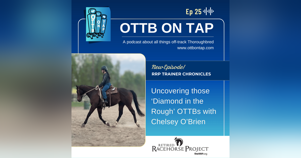 Ep 25: Uncovering those 'Diamond in the Rough' OTTBs with Chelsey O'Brien Ep 25: Uncovering those 'Diamond in the Rough' OTTBs with Chelsey O'Brien