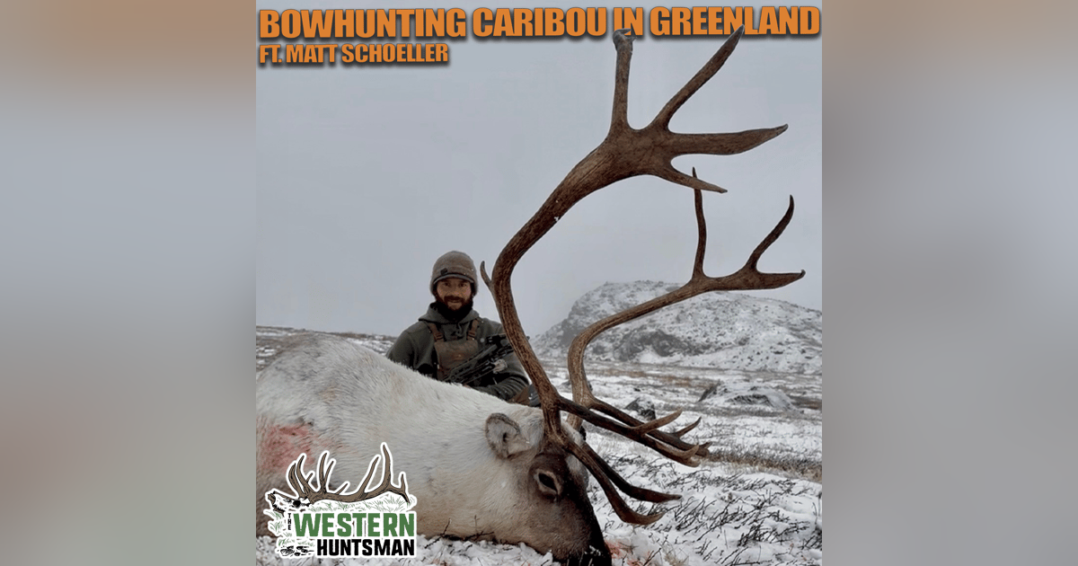 Ep 246 | Bowhunting Caribou in Greenland with Matt Schoeller Ep 246 | Bowhunting Caribou in Greenland with Matt Schoeller