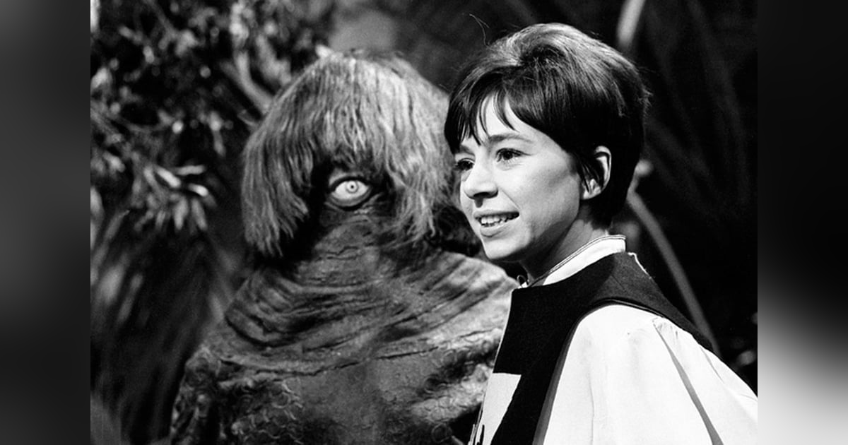 I've Got My Eye on You - "The Ark" I've Got My Eye on You - "The Ark"