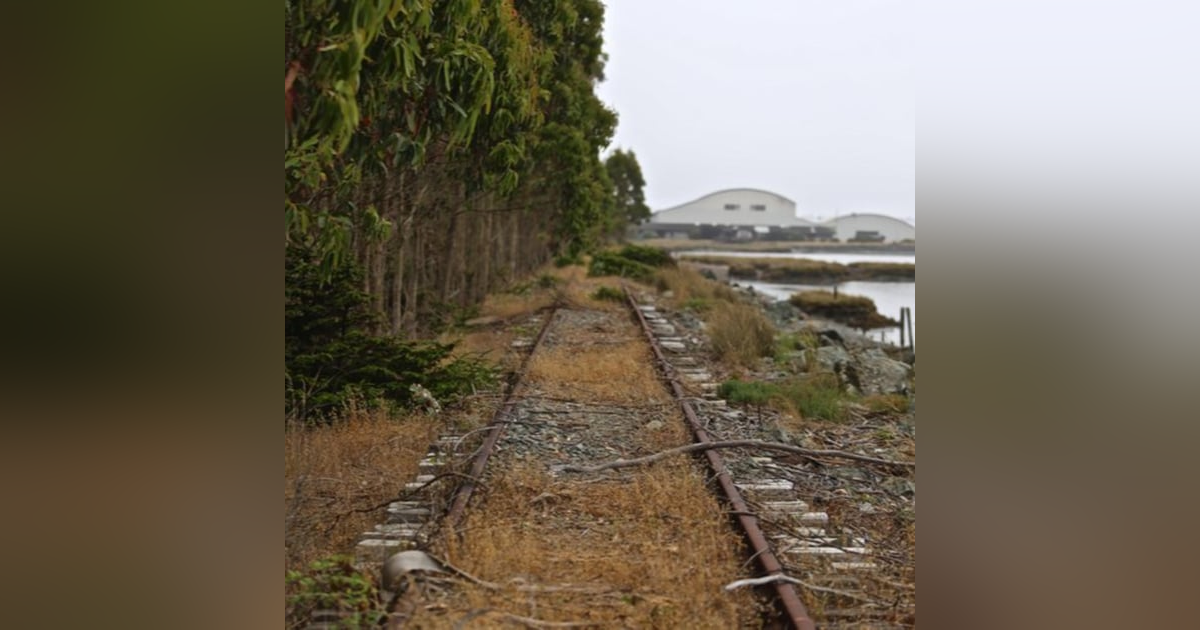 Distilling Behind the Redwood Curtain - With Jenz Distilling Behind the Redwood Curtain - With Jenz