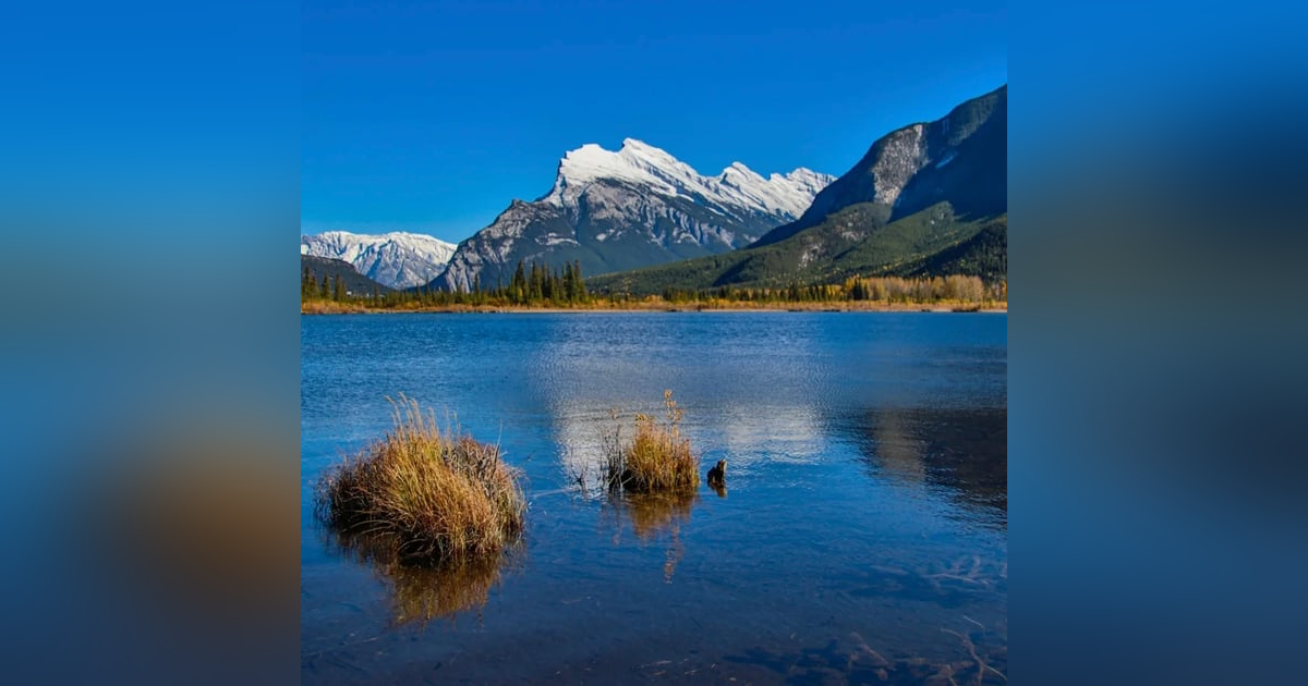 Ep 80- Let Nature Speak (Feat. Kevin Gedling) Ep 80- Let Nature Speak (Feat. Kevin Gedling)