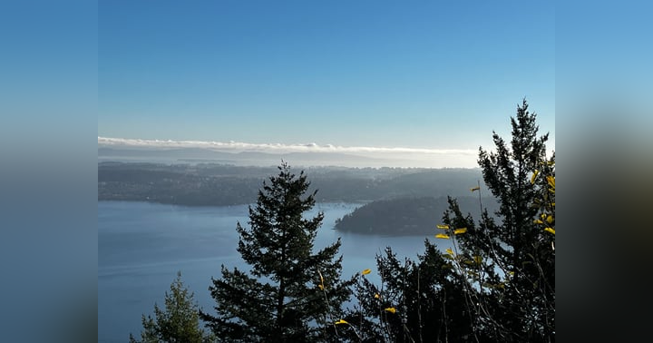 image for Everyone’s a Settler? Not So Fast