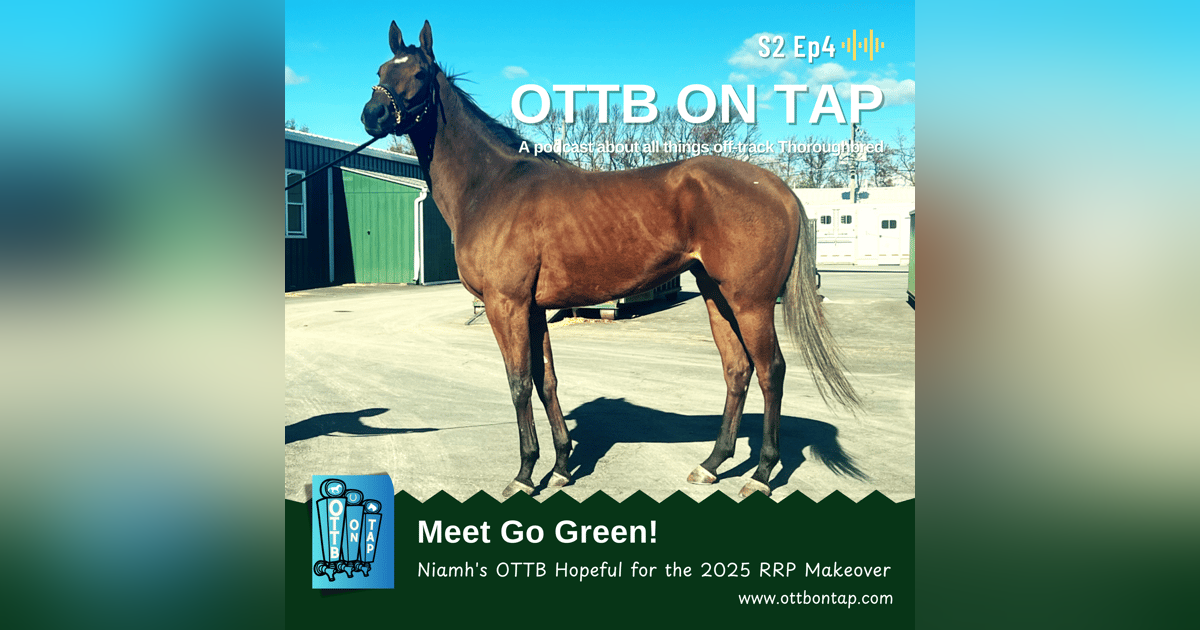 S2 E4: Meet Go Green: Niamh's OTTB Hopeful for the 2025 Retired Racehorse Makeover S2 E4: Meet Go Green: Niamh's OTTB Hopeful for the 2025 Retired Racehorse Makeover
