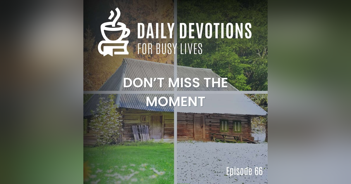 Don't Miss the Moment Don't Miss the Moment