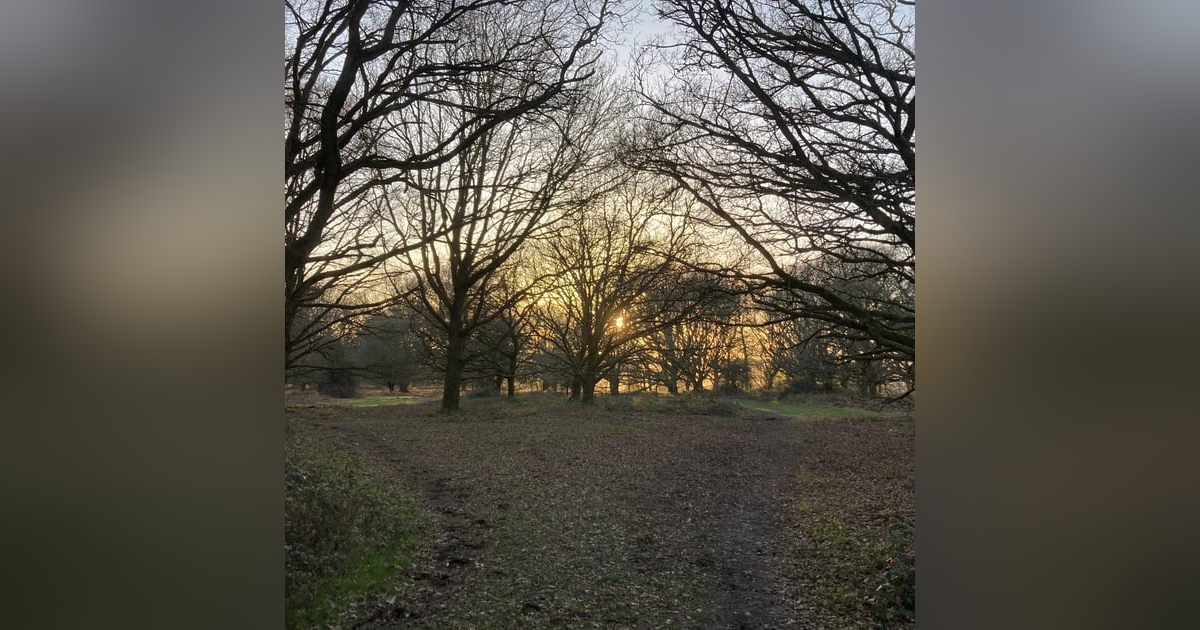 Sm2n 2026-03-17 #audio365 (76/365) thank you for your suggestions to balance reporting progress Sm2n 2026-03-17 #audio365 (76/365) thank you for your suggestions to balance reporting progress