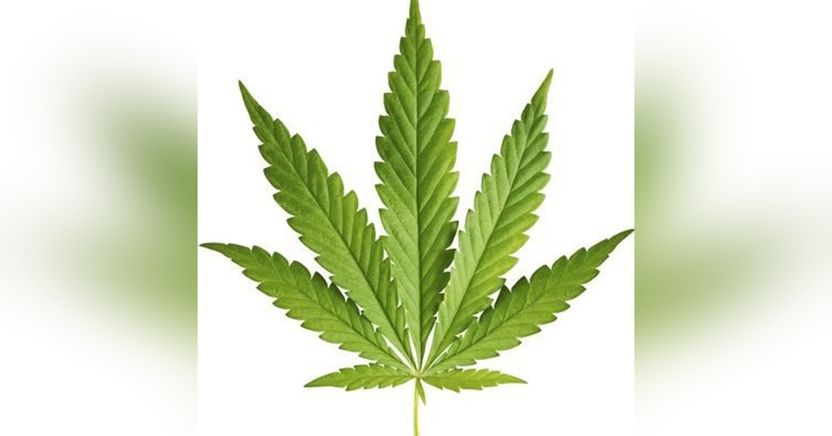 13 Folds Radio #48 13 Folds Radio #48