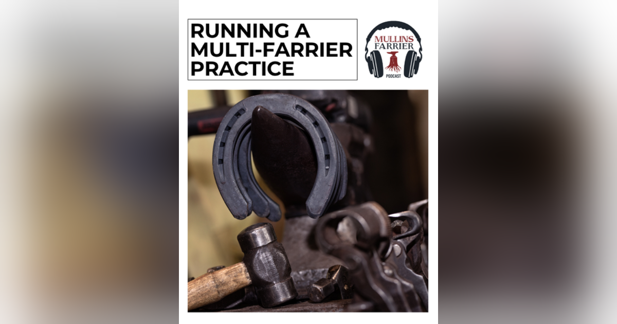 Running A Multi-Farrier Practice Running A Multi-Farrier Practice