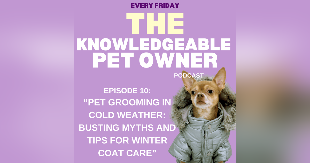Pet Grooming in Cold Weather: Busting Myths and Tips for Winter Coat Care Pet Grooming in Cold Weather: Busting Myths and Tips for Winter Coat Care